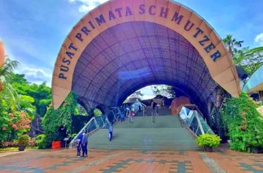 kebun binatang ragunan